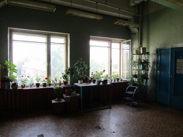 Реализация нежилых помещений